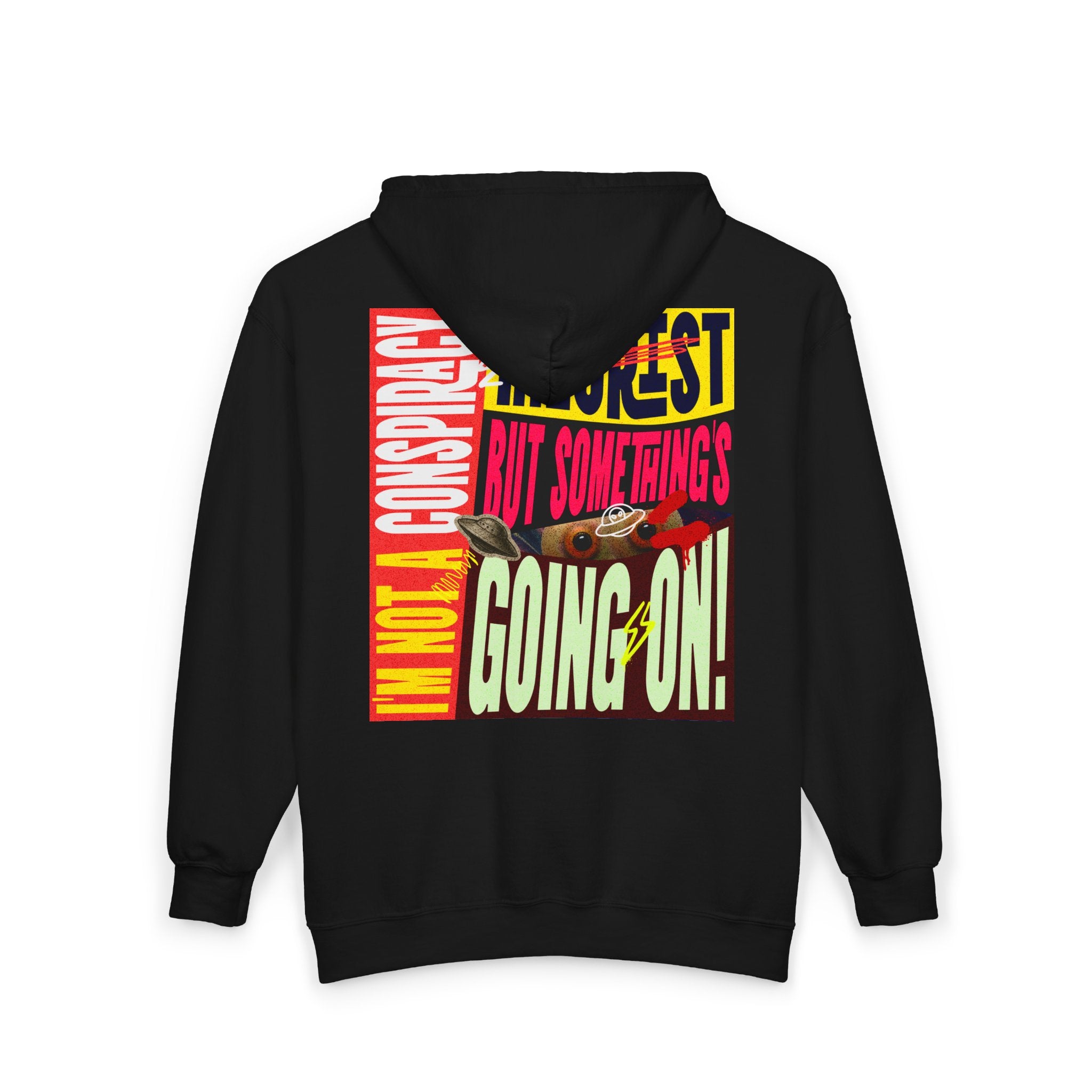 I'm not a conspiracy theorist? - Zip hoodie